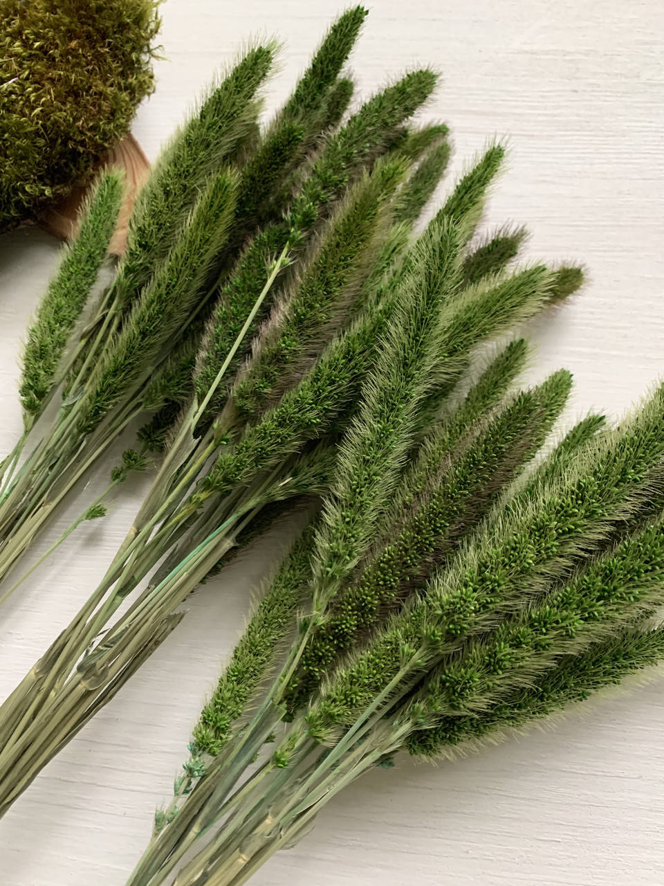 

Сетария сухоцвет зеленая ( 20 шт )