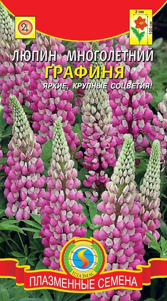 

Люпин многолетний Графиня 0,45 г (Плазменные семена)