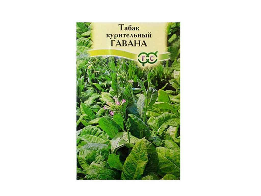 

Табак курильний ЧудО ГАВАНА 0,1г (10 пачок) ТМ СЕМЕНА УКРАИНЫ
