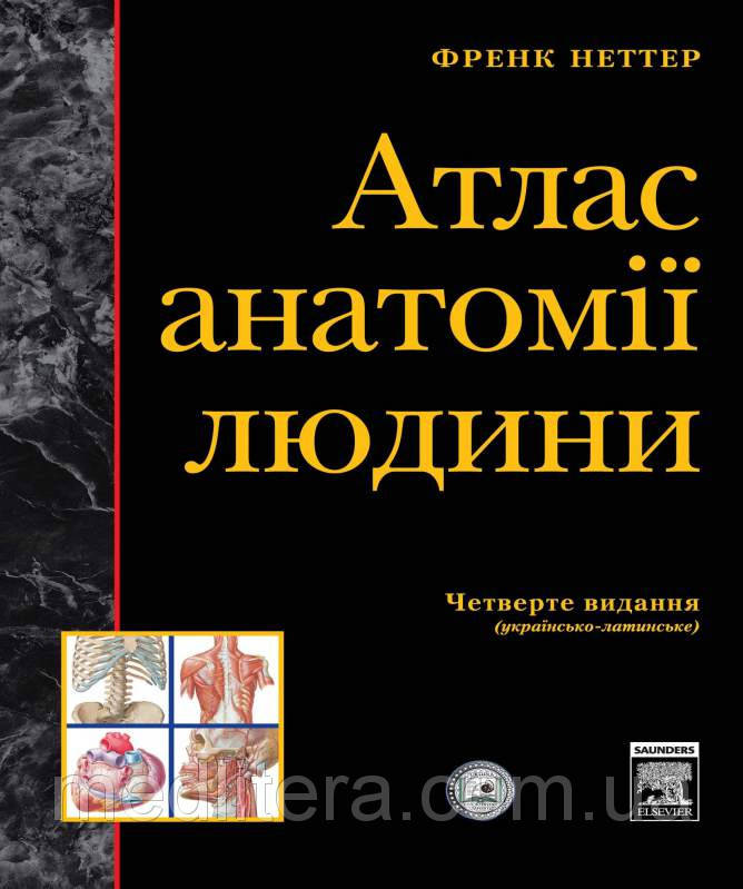 

Неттер Атлас анатомії людини (4-е видання) (тверда палітурка)
