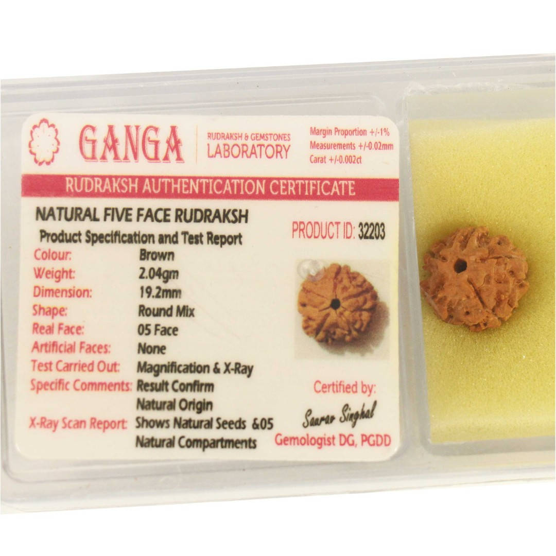 

Бусина Рудракши 5 лик - успех и спокойствие