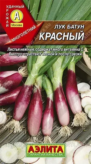 

Семена Лук батун Красный 0,3 грамма Аэлита