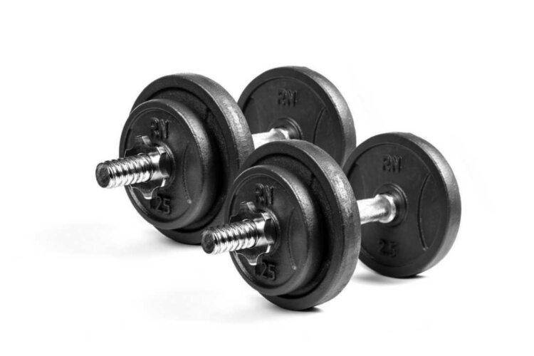 

Гантели разборные чугунные 2 по 8,5 кг RN-Sport