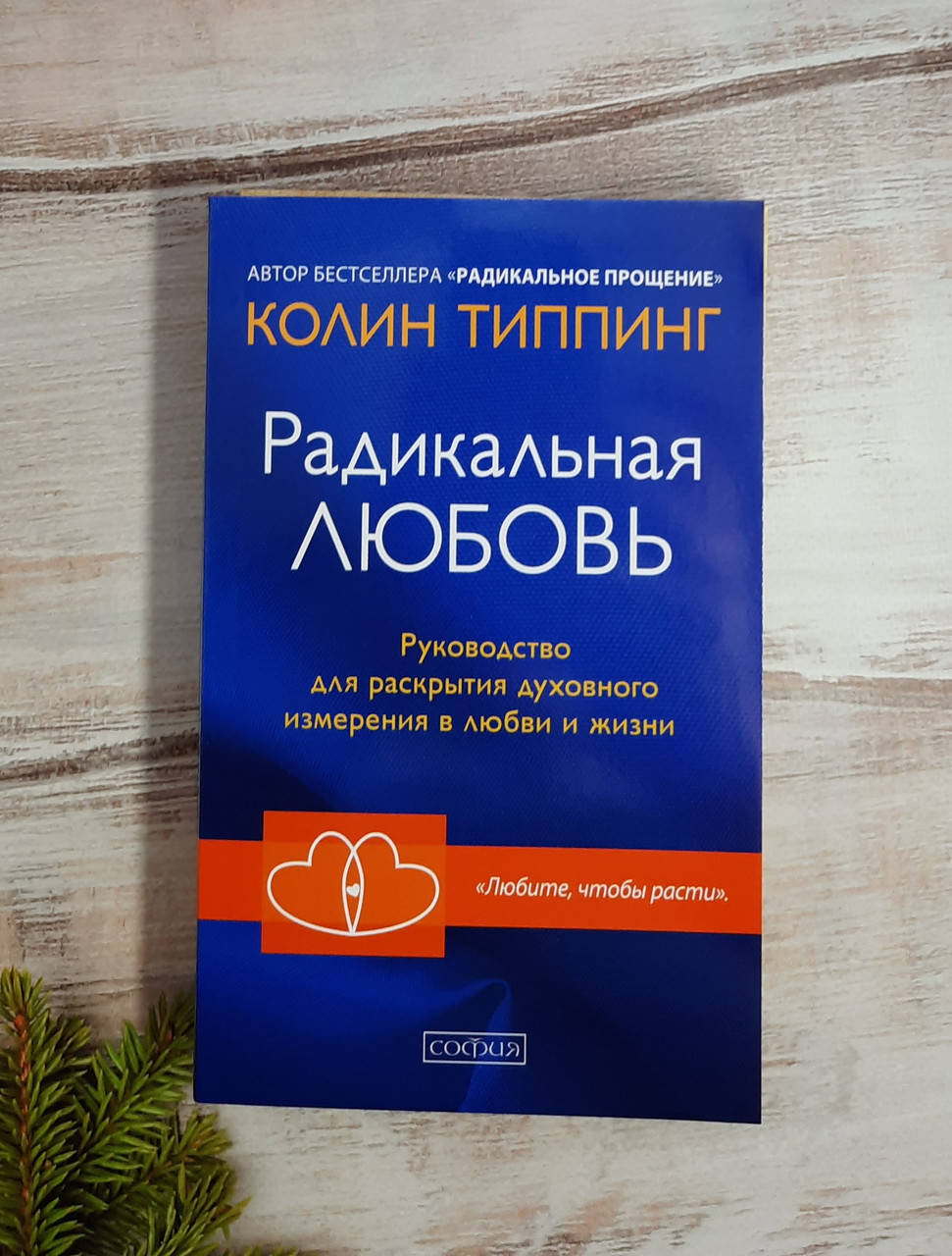 

Типпинг Радикальная Любовь. Руководство для раскрытия духовного измерения в любви и жизни
