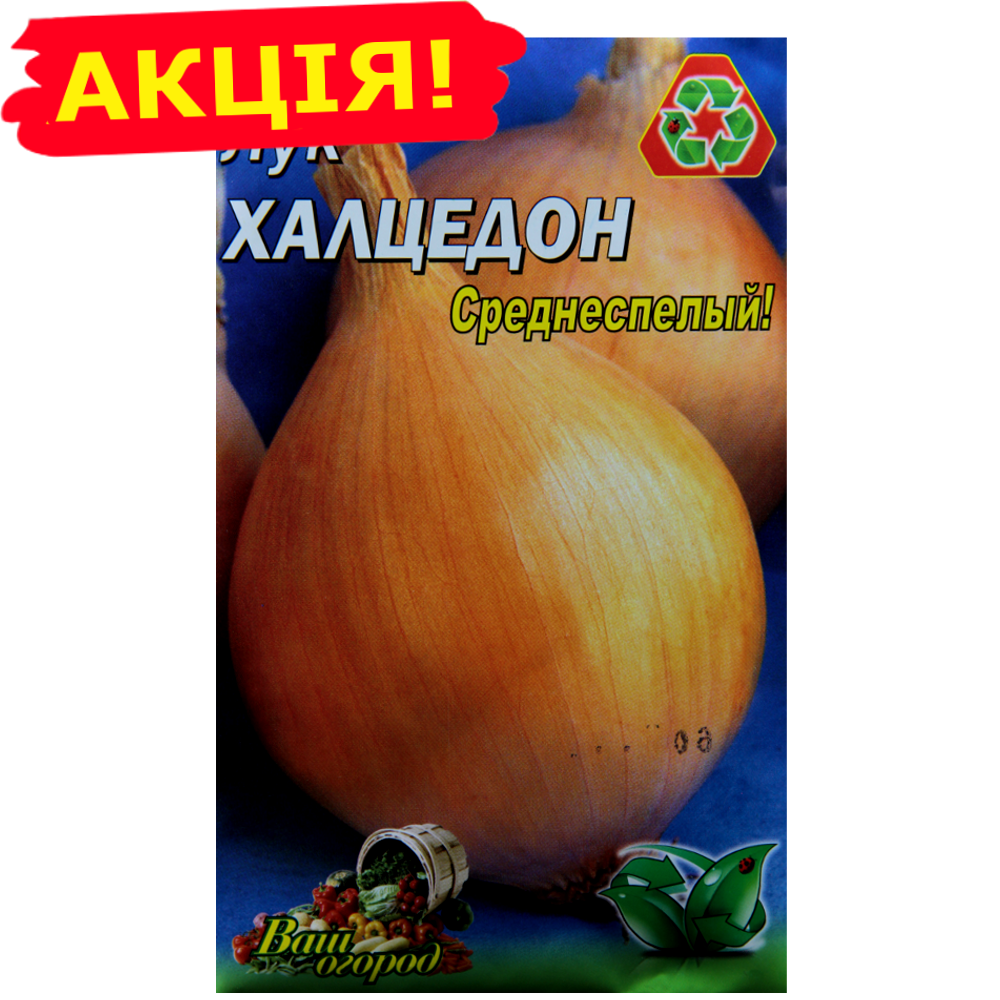 

Лук Халцедон большой пакет 5 г