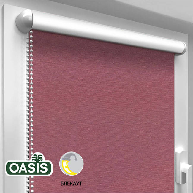 

Рулонная штора "Блэкаут" Ализарин 65.0 x 170 (см)