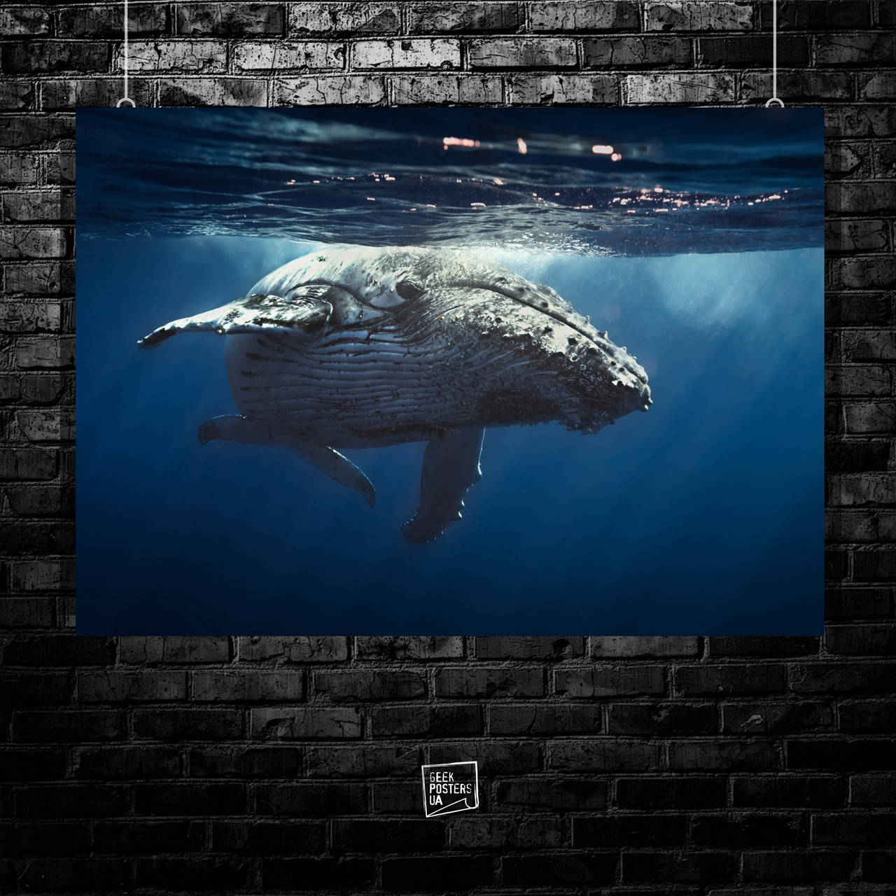 

Постер Big whale, плывущий кит. Размер 42x30см (A3). Матовая бумага