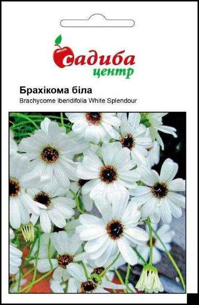 

Брахикома белая 0,1 г (Hem Zaden), Белый