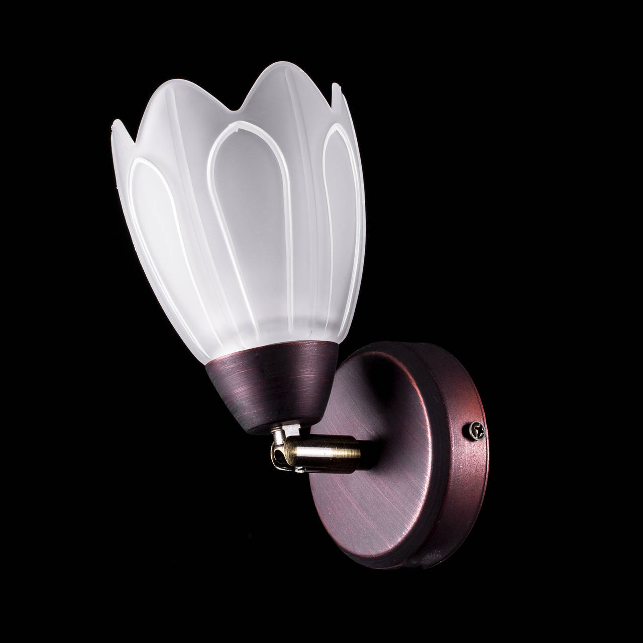 

Бра спот (направляемая) на 1 лампочку (венге) P3-01615D/1W/CD+WT