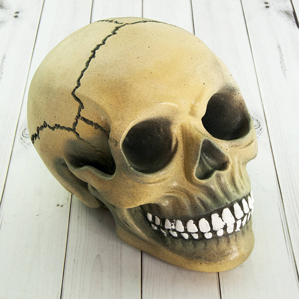 

Череп копилка M, №8943 1053735603, Бежевый