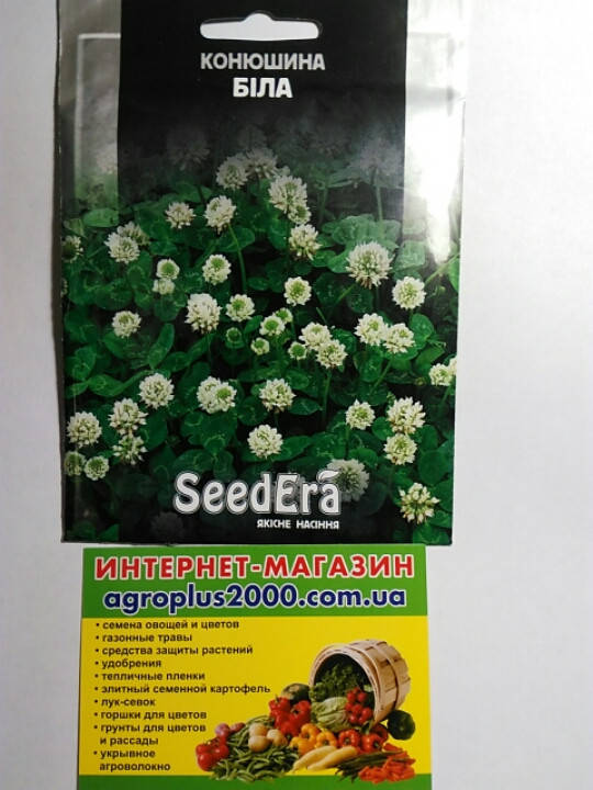 

Семена Клевер декоративный белый 20 граммов SeedEra