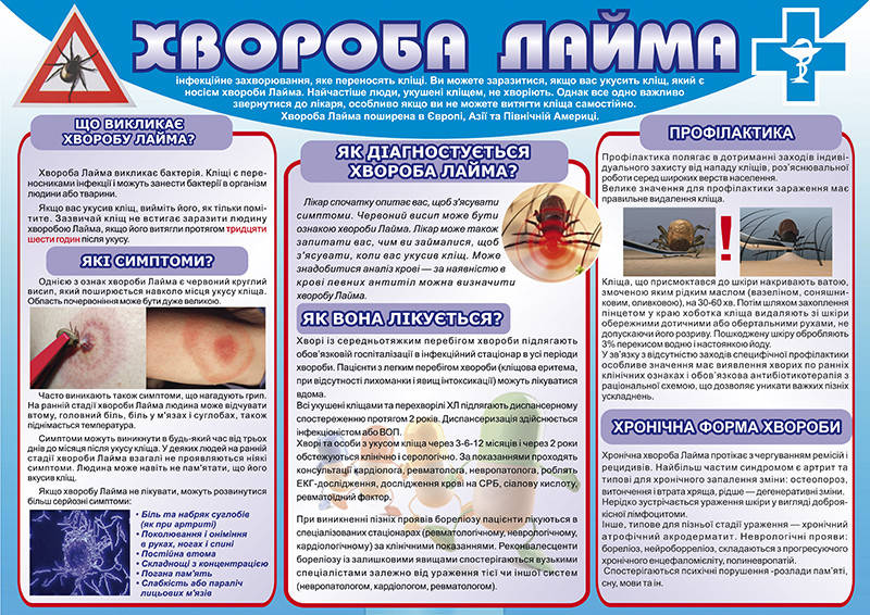 

Санбюлетень "Хвороба Лайма" Бумага, А1(600х840мм)