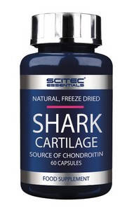 

Акулий хрящ Scitec Nutrition Shark Cartilage 60 капсул