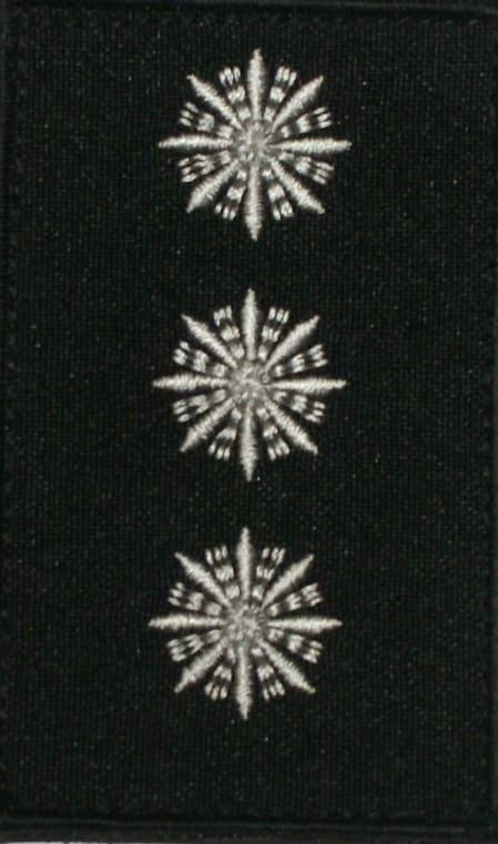 

Погон старшего лейтенанта полиции