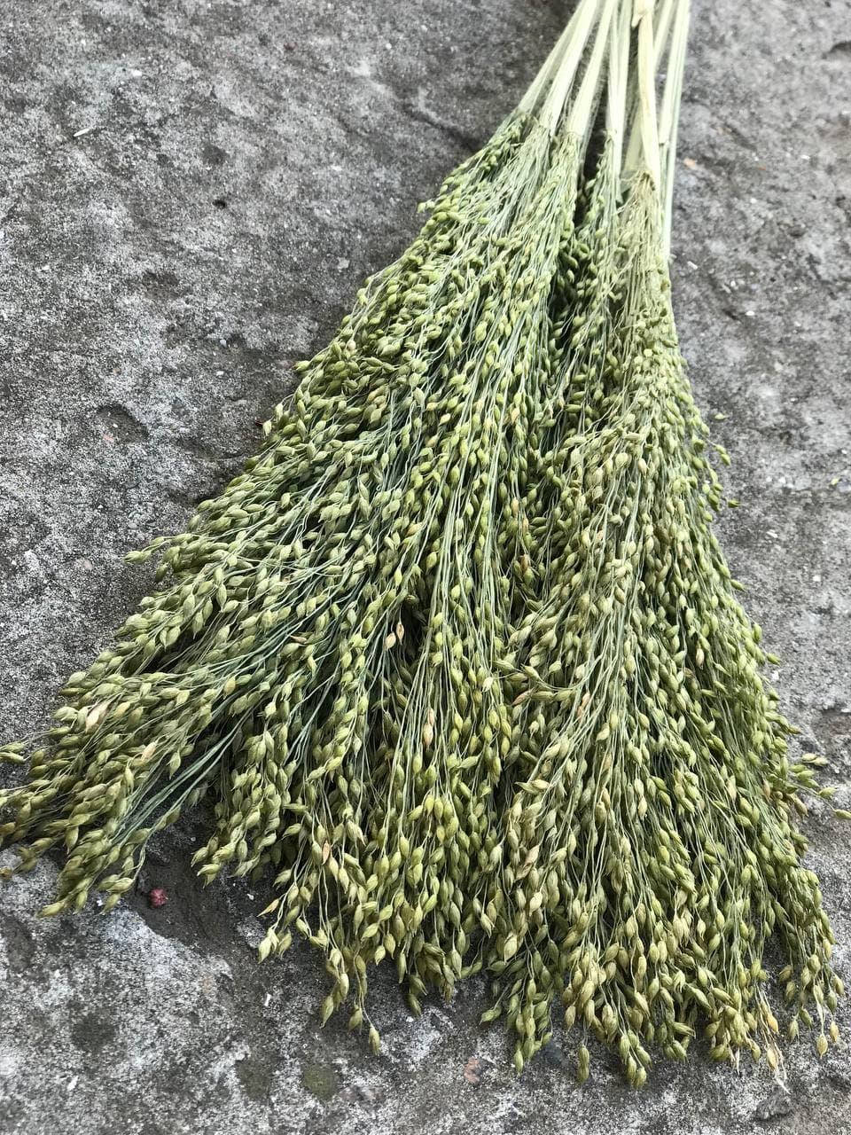 

Просо натуральное