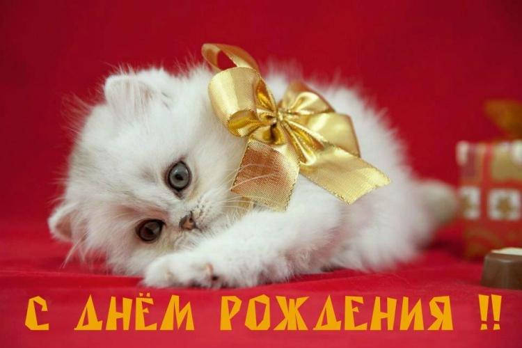 

Вафельная картинка "Котики" 9