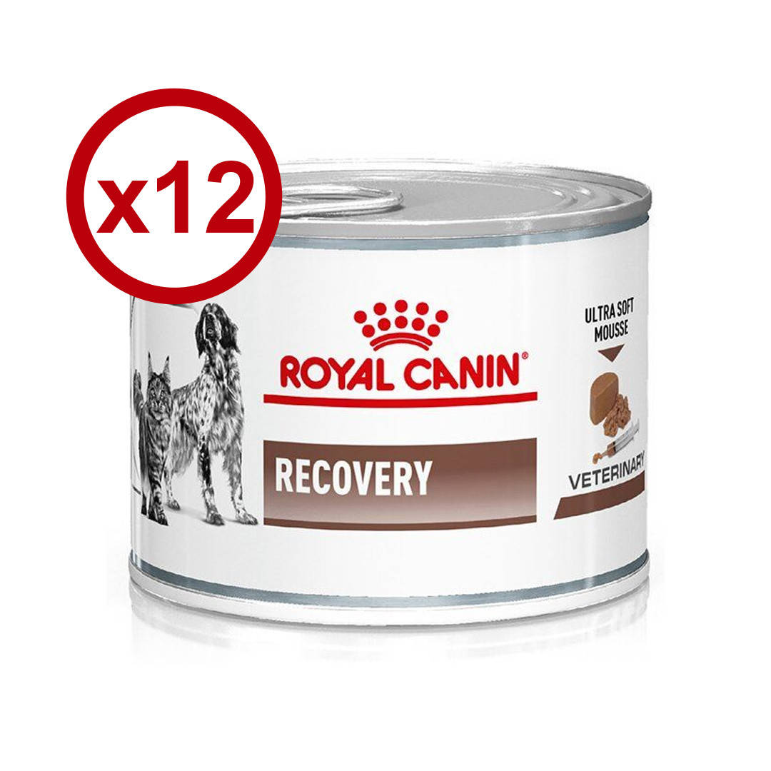 

Royal Canin Recovery 195г*12шт - консерва для собак и кошек в восстановительный период