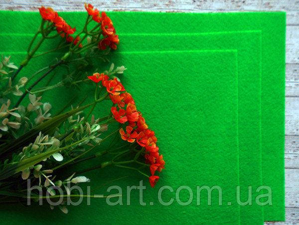 

Фетр 20х30 1мм. № 12 світло-зелений