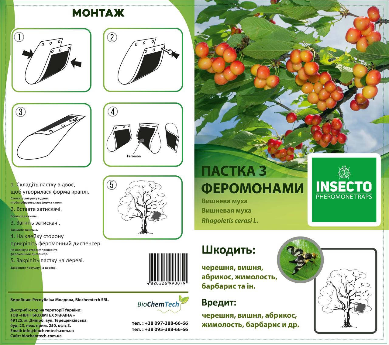 

Феромонная ловушка "Лепесток" на вишневую муху (Rhagoletis cerasi)