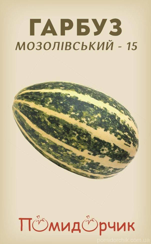 

Семена тыквы "Мозолевская-15"