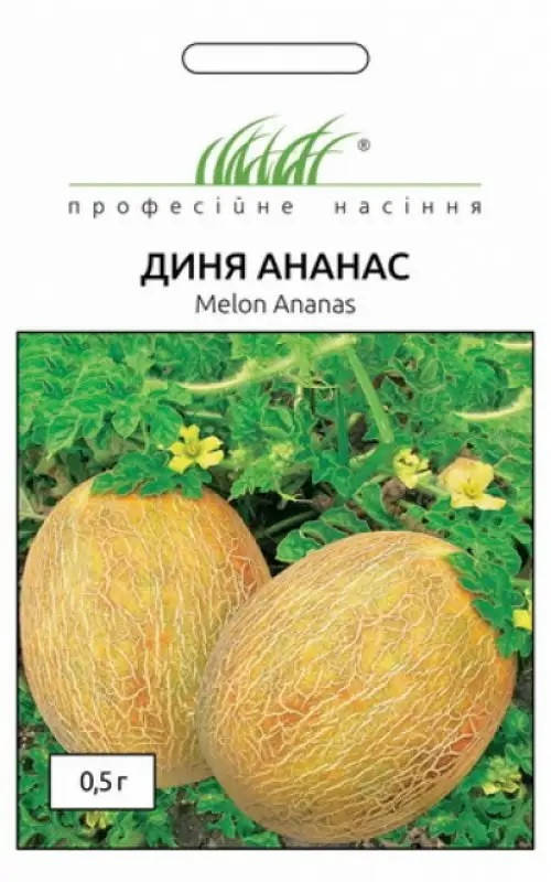 

Диня Ананас 0,5гр Професійне насіння Нидерланды