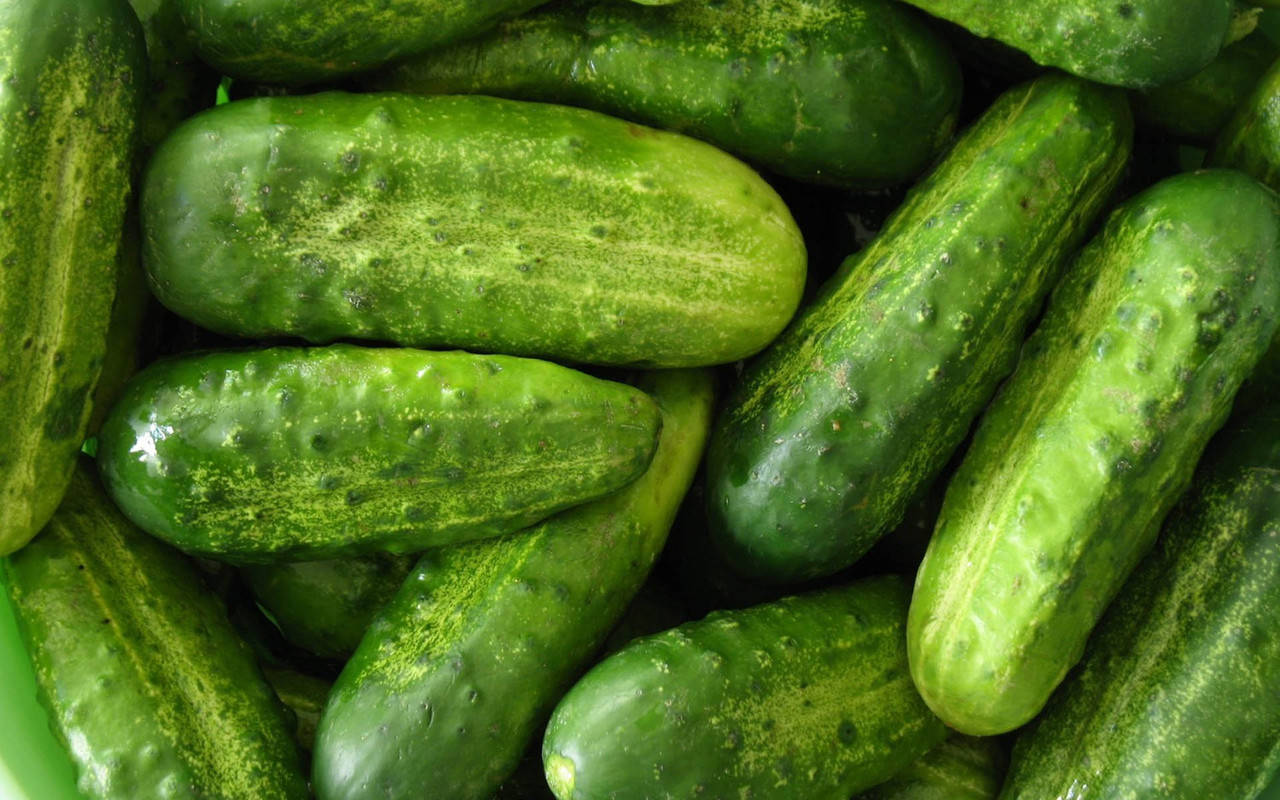 

Огурец кустовой семена 20 шт