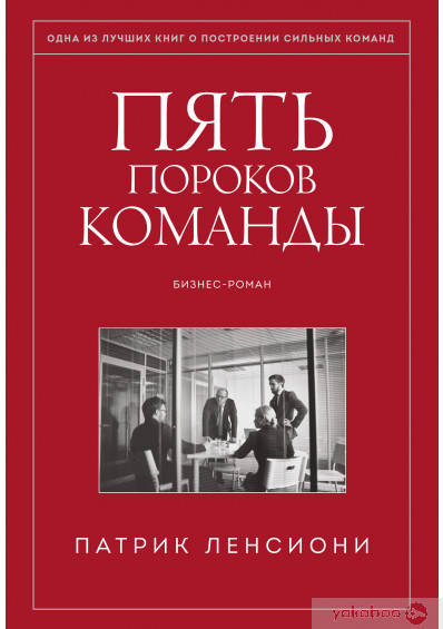 

Пять пороков команды. Бизнес-роман