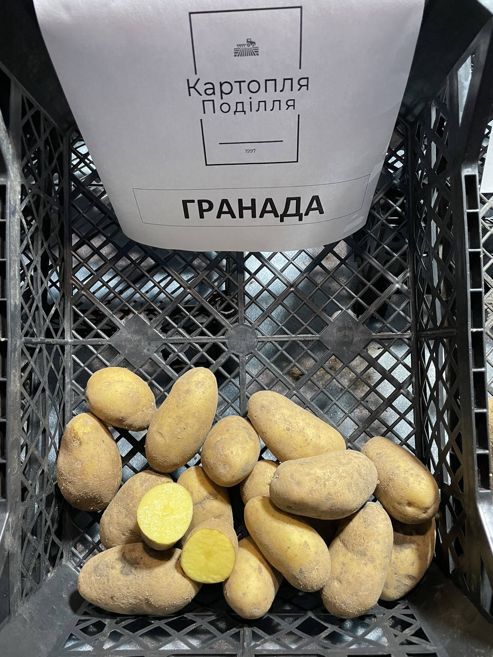 

Семенной картофель Гранада, I-я репродукция