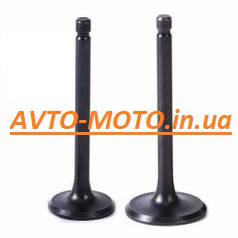 

Клапана 168F (пара)