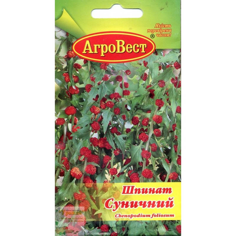

Семена шпинат Земляничный, 0,1 г, Малиновый