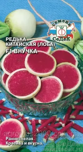 

Семена Редька китайская (лоба) Внучка F 1, 1 грамм Седек