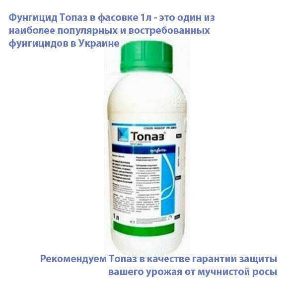 

Фунгицид Топаз Упаковка 1л применение, инструкция, норма расхода