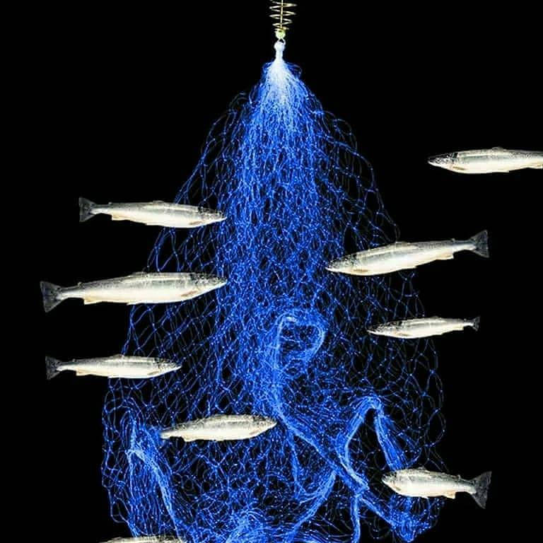 

Японская сетка с кормушкой для спиннинга и удочки