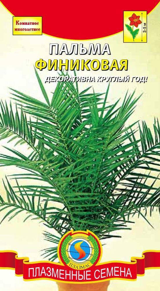 

Пальма Финиковая 2 шт (Плазменные семена), Зелёный