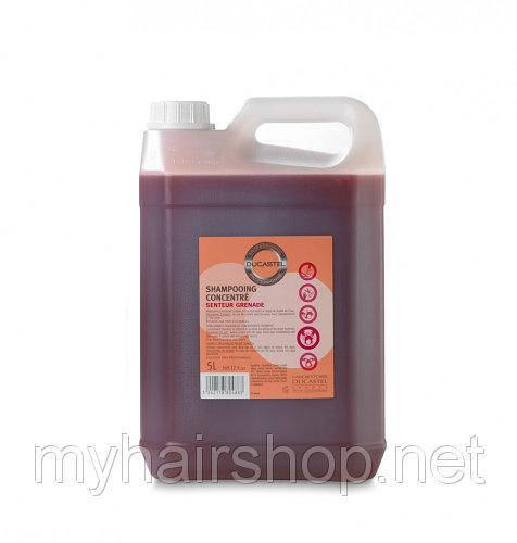 

Шампунь для всех типов волос сильноконцентрированный DUCASTEL Shampooing Concentre 5000 мл миндаль