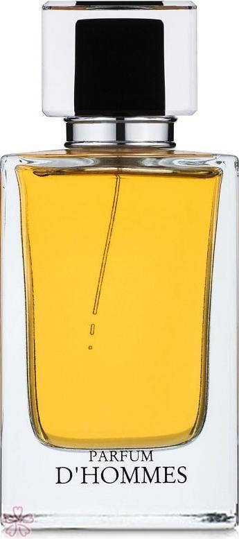

Fragrance World Parfum D`Hommes 100 мл Мужская туалетная вода