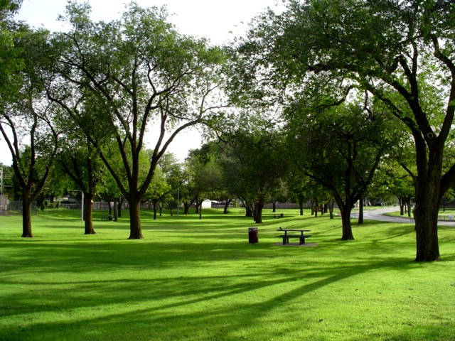 

Парковый газон на развес от 1 до 20 кг. Качественные компоненты., Красный