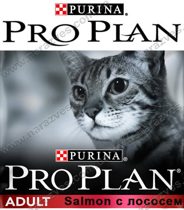

Сухой корм Pro Plan Adult Лосось на развес