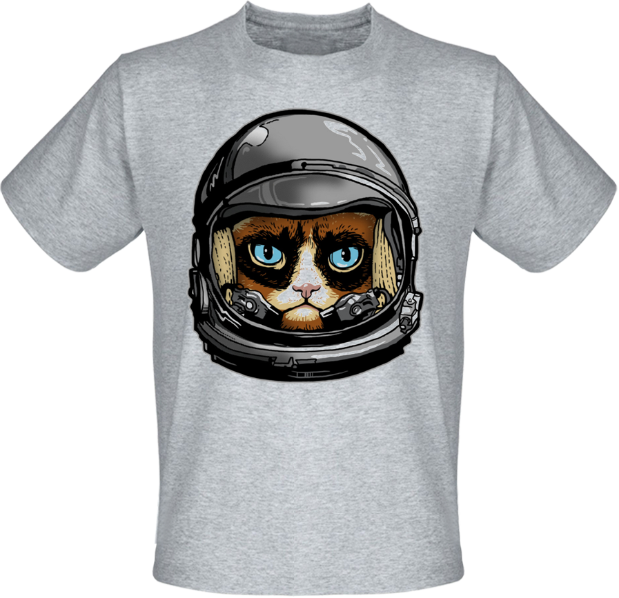 

Футболка Fat Cat Grumpy Cat Astronaut (меланж)