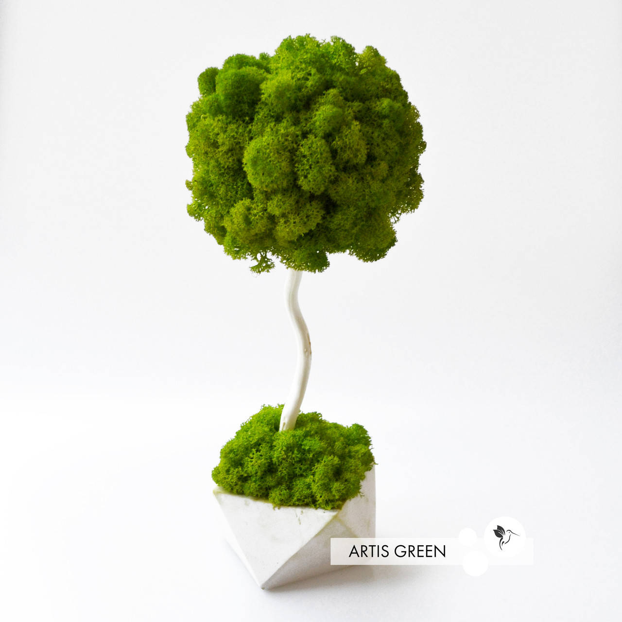 

Декоративное дерево, топиарий с настоящим мхом Fresh Tree, 30 cm, T11