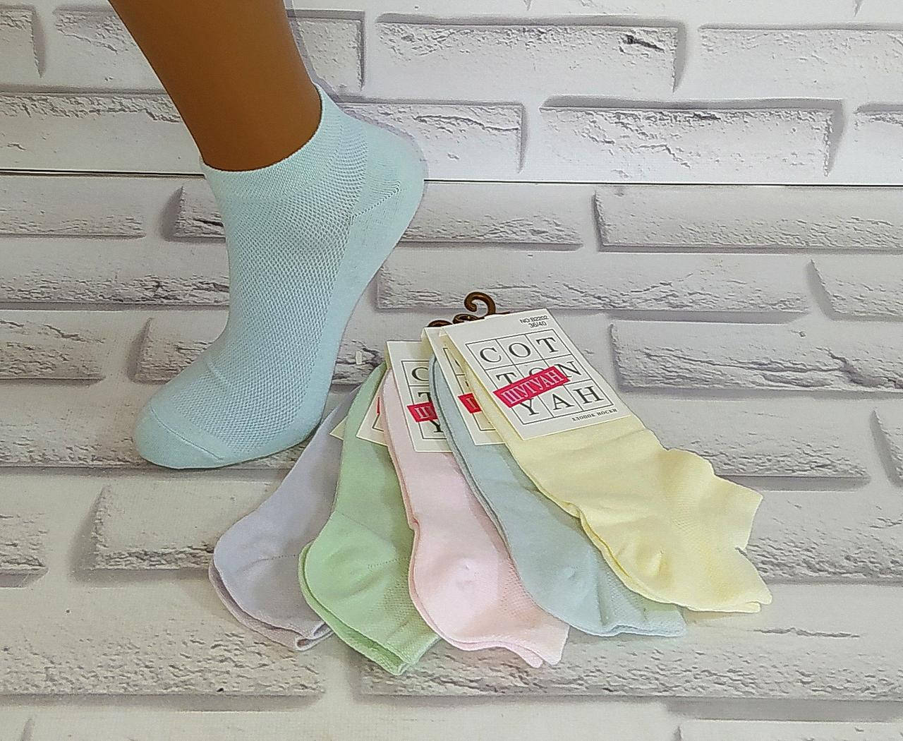 

Носки женские хлопок за 1 пару 36-40 раз (2202) Шугуан, Разные цвета