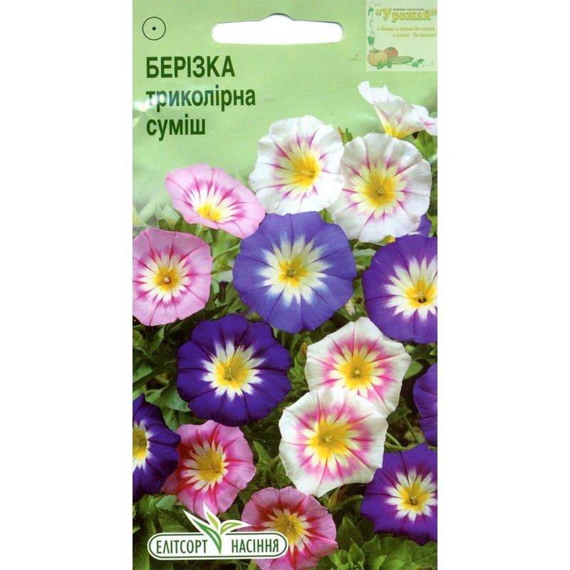 

Семена цветы Вьюнок трехцветный, 1 г