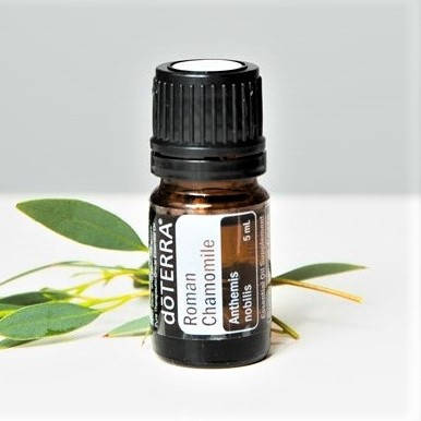 

Римская ромашка Эфирное масло doTERRA, 5 мл
