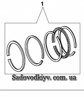 

Поршневые кольца для газонокосилки Oleo-Mac G 44, G 48