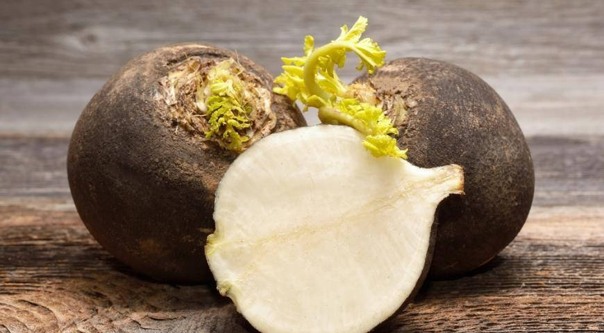 

Редька семена