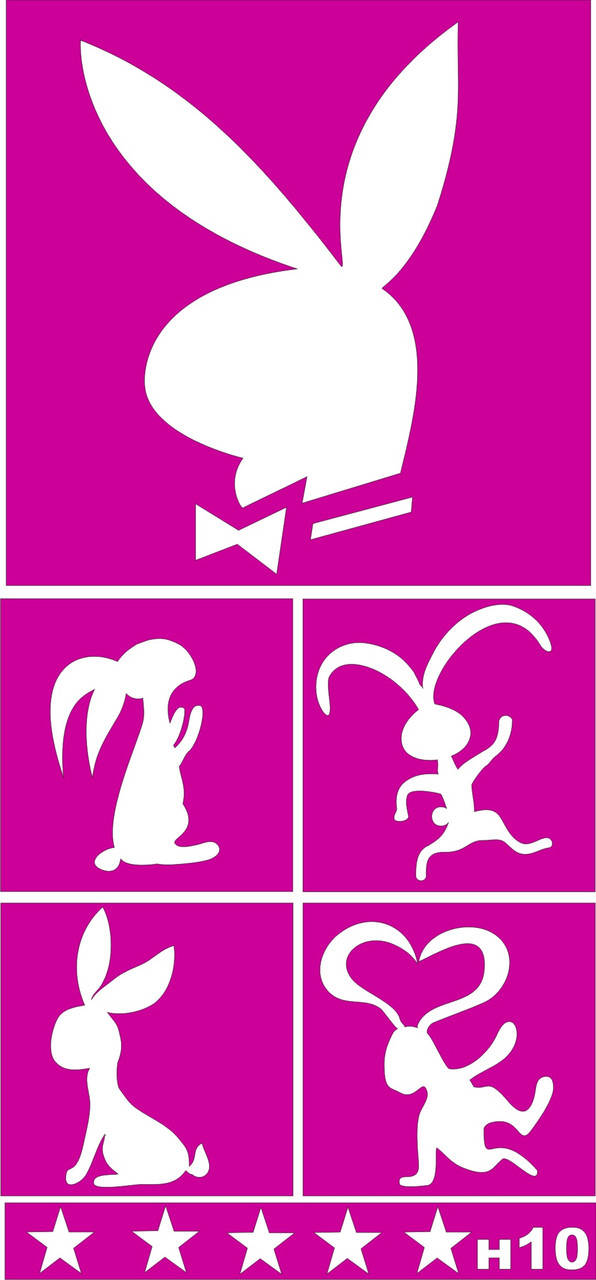 

№ Н10 - трафарет для био тату хной и глиттером от Boni Kasel 20*9 см