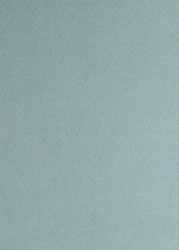 

Бумага для пастели Tiziano A4 серо-зеленый № 13 salvia 160 г / м2 среднее зерно Fabriano, 164113, Зелёный