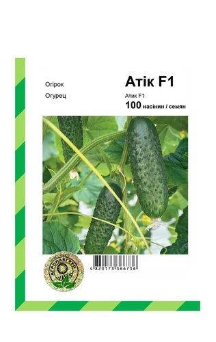 

Огурец "Атик" F1 100 с, Бейо (Bejo)