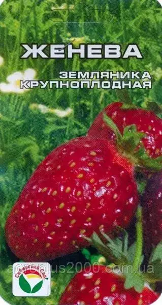 

Семена Клубника крупноплодная Женева 10 семян Сибирский Сад