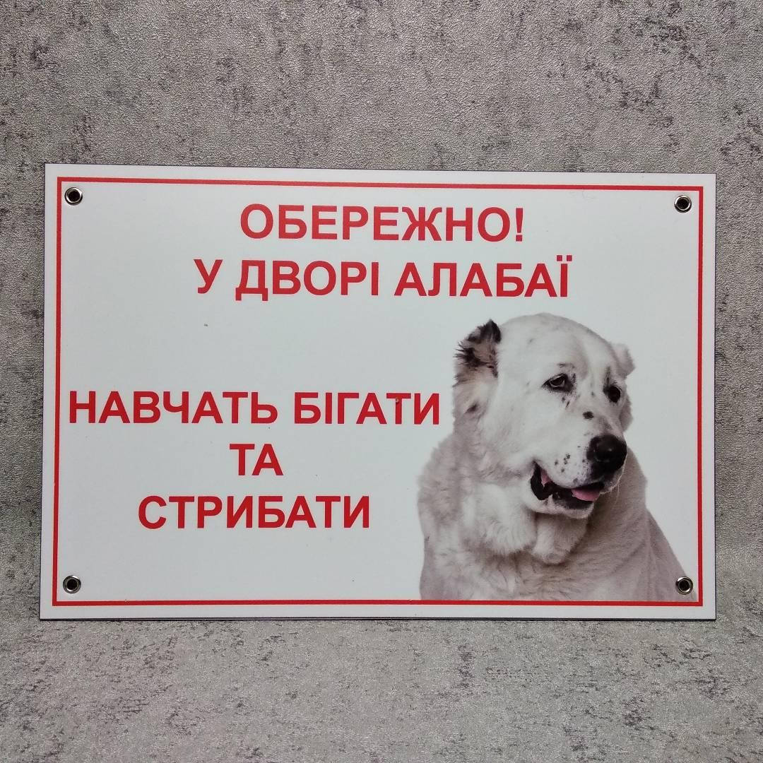 

Табличка Осторожно, во дворе Алабаи. Научат бегать и прыгать